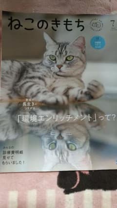 ねこのきもちのサムネイル