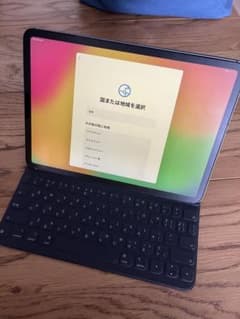 iPadPRO 11インチ　第一世代　セルラー64GBのサムネイル