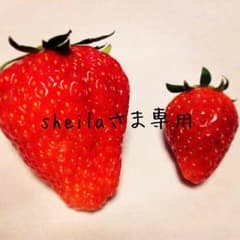 sheila様専用 レースアップシューズのサムネイル