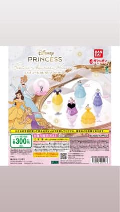 Disney Princess コスチュームぬじるしアクセサリーのサムネイル