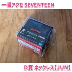 [미개봉] 제일 액세서 SEVENTEEN | D상 목걸이 [JUN]