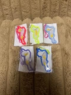 琵琶湖 キーホルダー 5個セット⚡️のサムネイル
