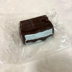 RanRan チョコミント