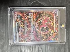 オドリドリ sar 美品ローダー付き！！のサムネイル