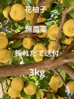 無農薬 花柚子 採れたて - メルカリ