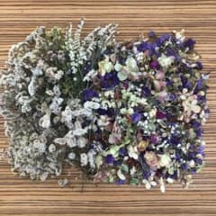 ドライフラワー花材詰め合わせ　ヘッド・短め　②のサムネイル