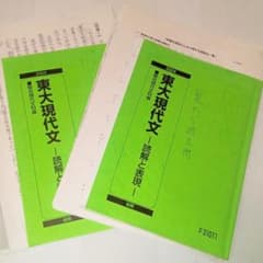 駿台 東大現代文 読解と表現 前期・後期 2024年版 中野芳樹 - メルカリ