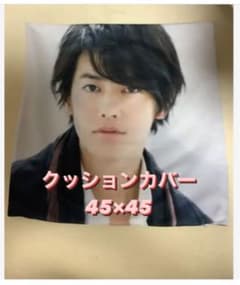 佐藤健　　クッションカバーのサムネイル