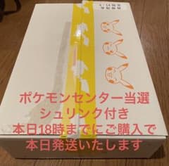 ポケモンカード スノーハザード＆クレイバースト ジムセット ナンジャモセットのサムネイル
