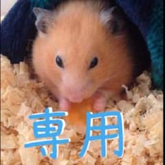 ポン様専用のサムネイル