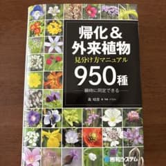 【中古】帰化&amp;外来植物 見分け方マニュアル950種 帰化&外来植物 見分け方マニュアル950種 | 森 昭彦, 森 昭彦, 森 昭彦