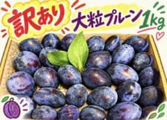 【訳あり】青森りんご農家のプルーン1kgのサムネイル