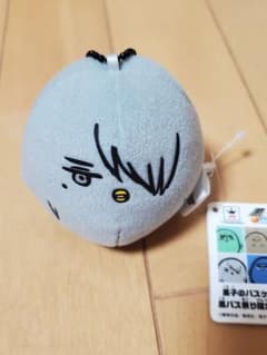 검은 버스 병아리 농구 빙실