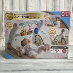 スマート知育ジム&ウォーカー プレイジム 手押し車のサムネイル