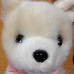 moonlightさん 専用のサムネイル