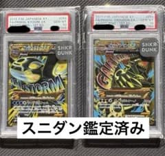 ゲンシカイオーガur、ゲンシグラードンur psa10連番 スニダン 鑑定済み