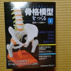 骨格模型をつくる 腰椎から大腿骨まで1-4 デアゴスティーニ 非売品