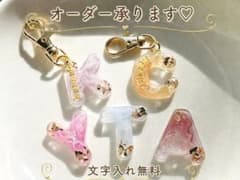 【名入れ無料】ニュアンスカラー　レジン　イニシャルキーホルダー　チャーム