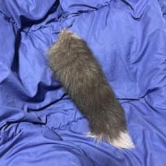 フェイクファー 尻尾 キーホルダーのサムネイル