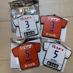 アルビレックス新潟 ラバーキーホルダーのサムネイル