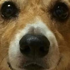 ガン岩ちゃん様専用のサムネイル