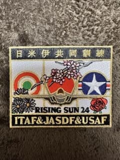 日米伊共同訓練 24 ワッペンのサムネイル