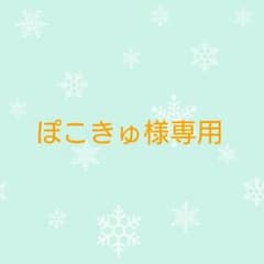 ぽこきゅ様専用のサムネイル