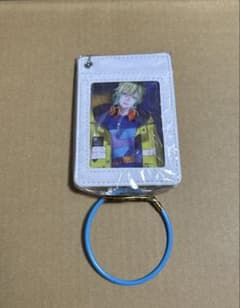 ブレイクマイケース カード入りパスケース