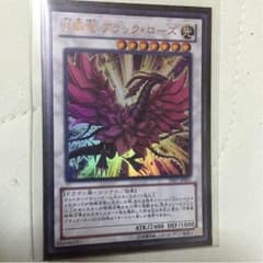 月華竜ブラックローズのサムネイル