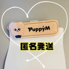 スキズ　5star ネームバッチ　パピーエム　スンミンのサムネイル