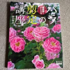 バラの剪定講座 : 超図解!よくわかるのサムネイル