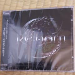 the Raid. Re:bornのサムネイル