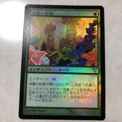 楽園の拡散[FOIL]のサムネイル