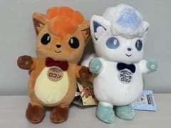ポケモン ローカルActs 物産展 ぬいぐるみ ロコン アローラロコン 未