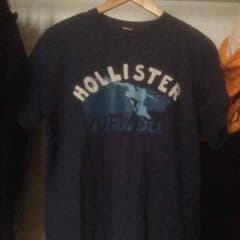 ホリスター tシャツのサムネイル
