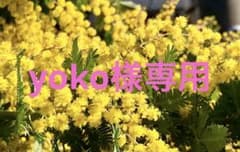 yoko様専用のサムネイル