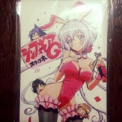 戦姫絶唱シンフォギア*G*スタッフ本のサムネイル