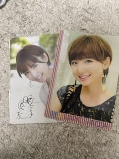 AKB48 篠田麻里子 下敷き クリアファイルのサムネイル