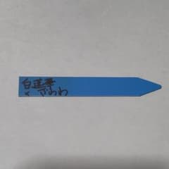 白蓮華×ざわわ　 おらいさん　青札のサムネイル