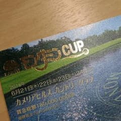 モンダミンカップ　最終価格！1枚　速達対応のサムネイル
