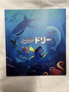 파인딩 돌리