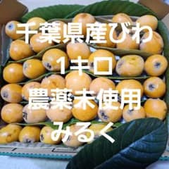 千葉県産びわ1キロ 農薬未使用② - メルカリ