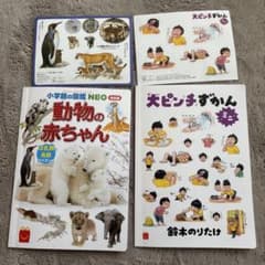 ハッピーセット 動物の赤ちゃん 大ピンチずかん - メルカリ