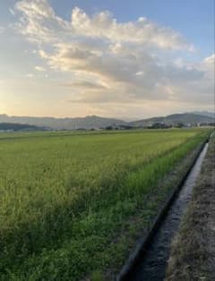 令和7年産新米　岡山県苫田郡産　減農薬栽培にじのきらめき　玄米30kgのサムネイル