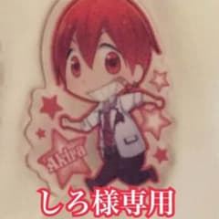 しろ様専用 アルスマグナのサムネイル