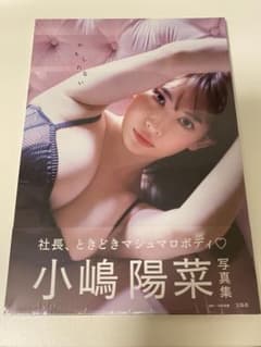 小嶋陽菜 写真集 かもしれないのサムネイル
