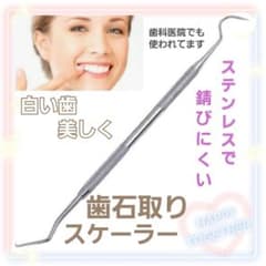 お手軽♪歯石除去スケーラー ポイント消化にも デンタル オーラルケア 歯垢のサムネイル