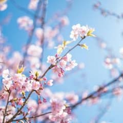 りんりん。様専用 バッグのサムネイル