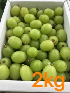 山形県産　シャインマスカット　2kg  訳ありのサムネイル