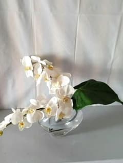 EMILO ROBBA 胡蝶蘭 造花 ガラス花瓶のサムネイル